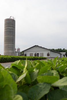 Ferme G. et F. Meunier 1078 230 X 350