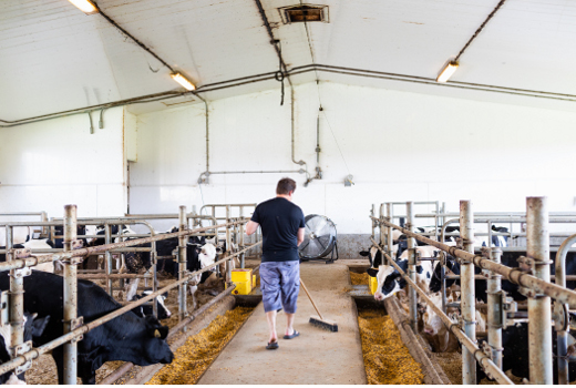 Ferme V25 4745 520 X 350